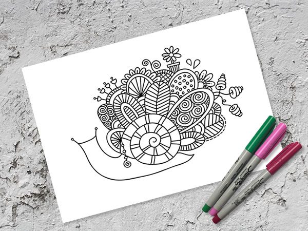 Tazi A4-snail-doodle