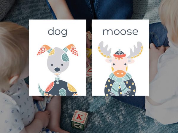 DIY animals-flashcard