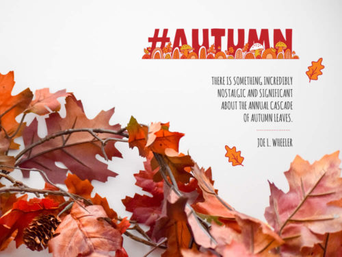 DIY seasons-autumn-quote-mockup