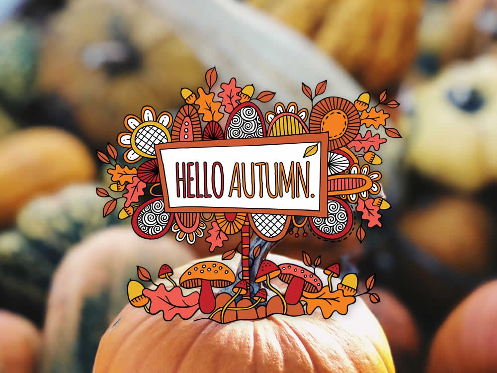 Tazi hello-autumn-pumpkin