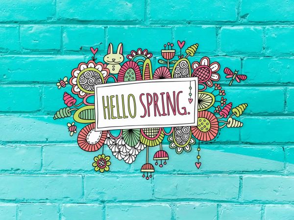 Tazi hello-spring