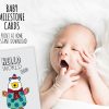Tazi milestone-animals-bright