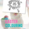 Tazi pin-easter-colouring