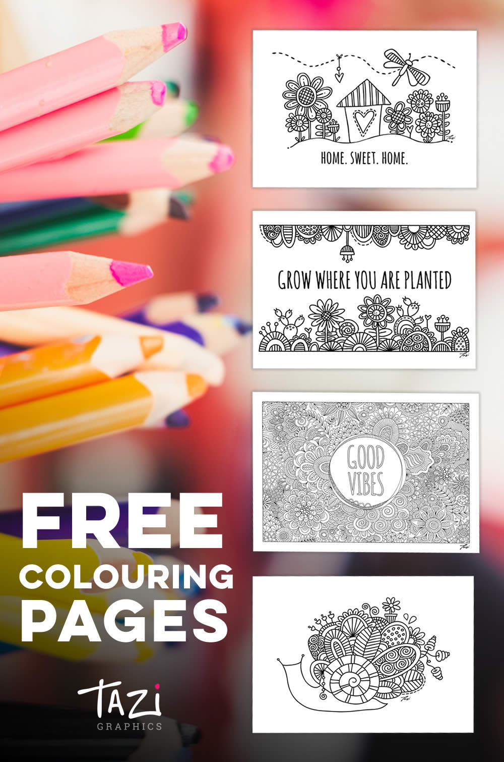 Tazi free-colouring-pages